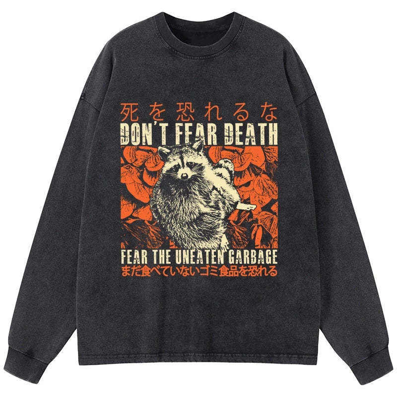 Tokyo-Tiger Timid Raccoon Japanese Washed Long Sleeve T-Shirt