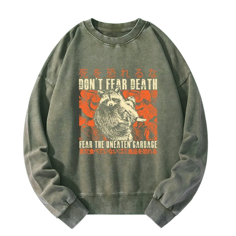 Tokyo-Tiger Timid Raccoon Japanese Washed Sweatshirt