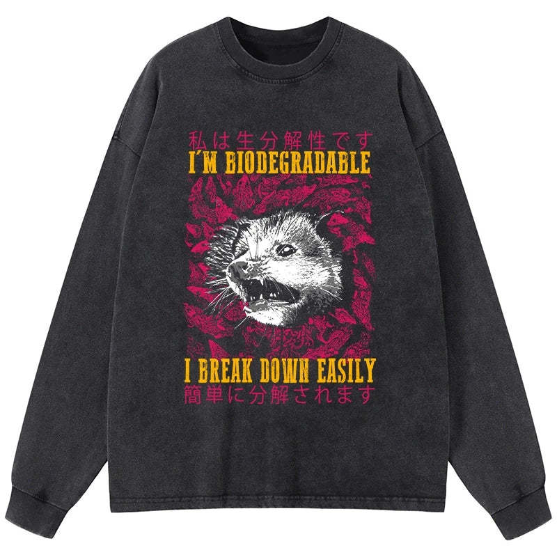 Tokyo-Tiger An Easily Breakable Opossum Washed Long Sleeve T-Shirt