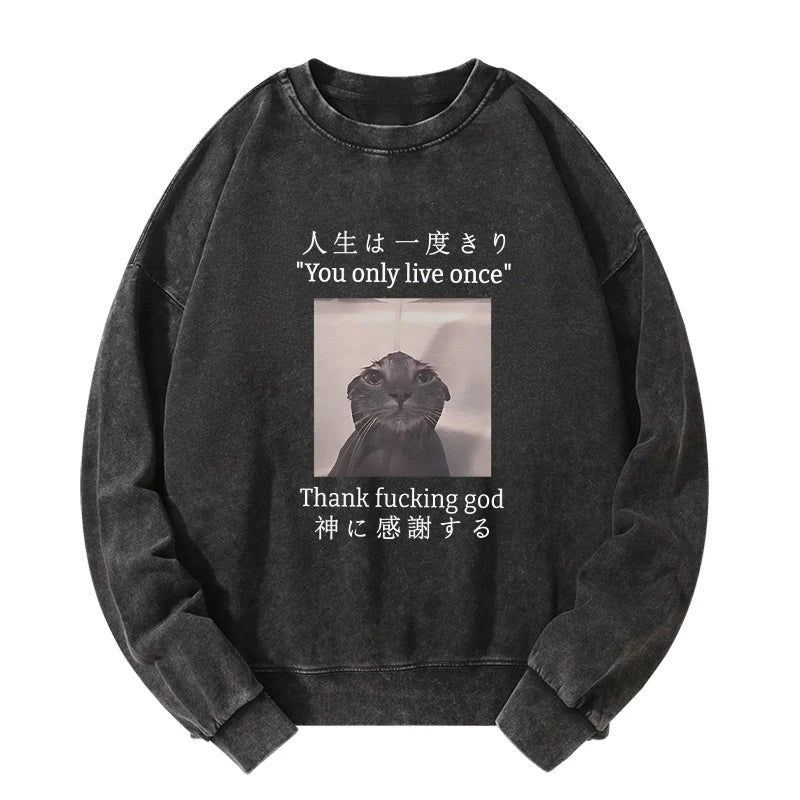 Tokyo-Tiger Funny Melancholy Cat Washed Sweatshirt
