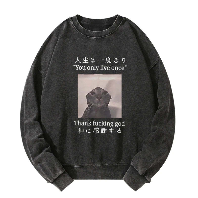 Tokyo-Tiger Funny Melancholy Cat Washed Sweatshirt Sale