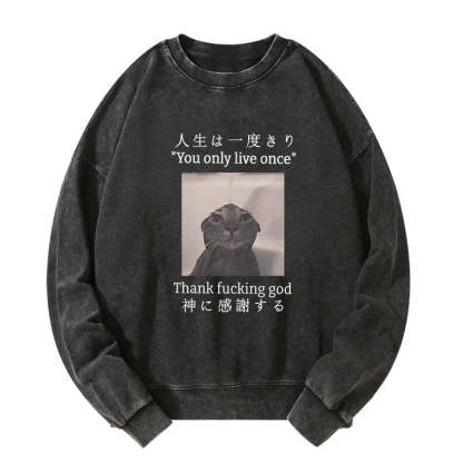 Tokyo-Tiger Funny Melancholy Cat Washed Sweatshirt