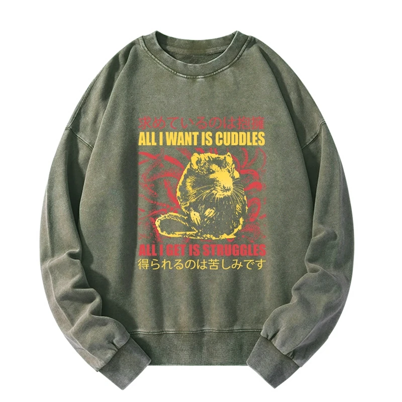 Tokyo-Tiger All I Want Is Cuddles Washed Sweatshirt