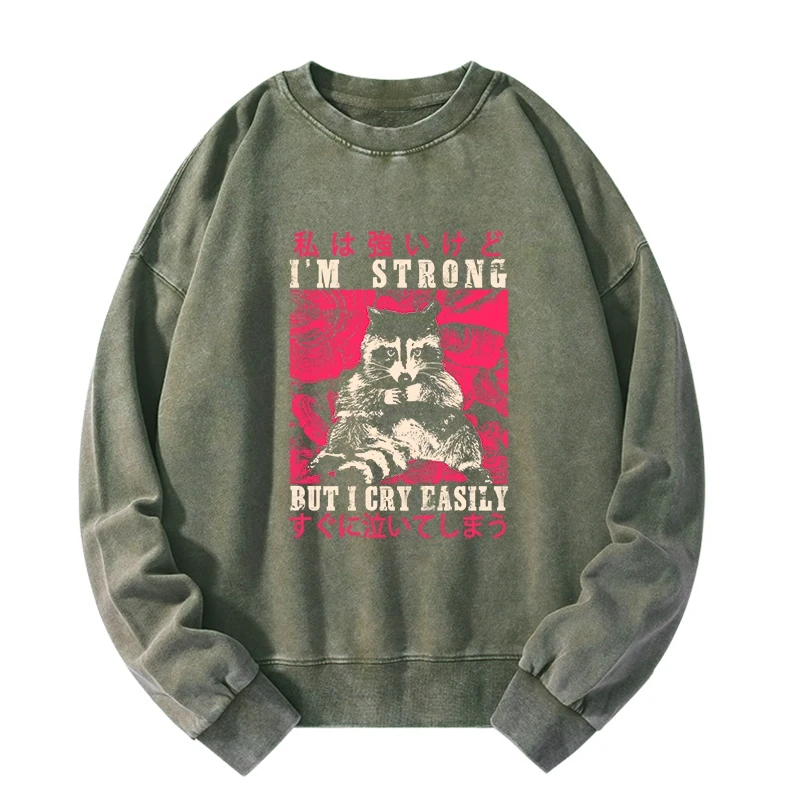 Tokyo-Tiger I Am Strong Raccoon Washed Sweatshirt