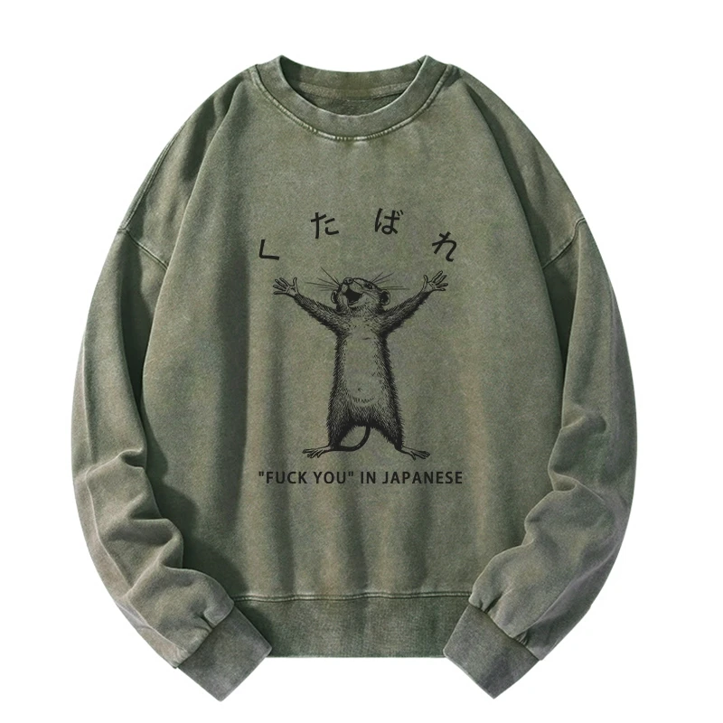 Tokyo-Tiger Happy Mouse Japanese Washed Sweatshirt