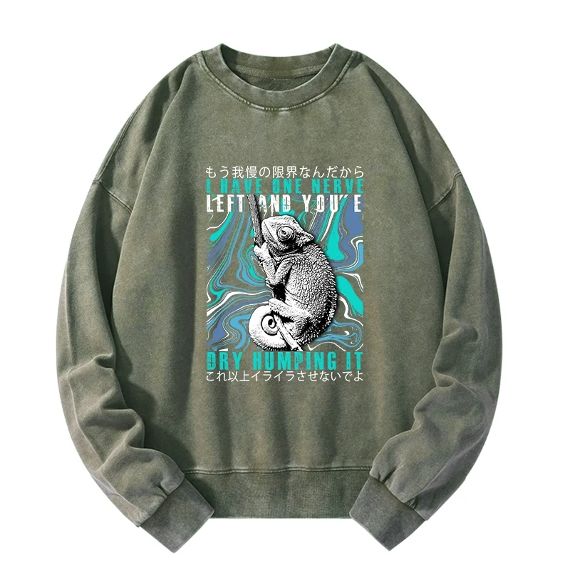 Tokyo-Tiger I Have One Nerve Chameleon Washed Sweatshirt Sale