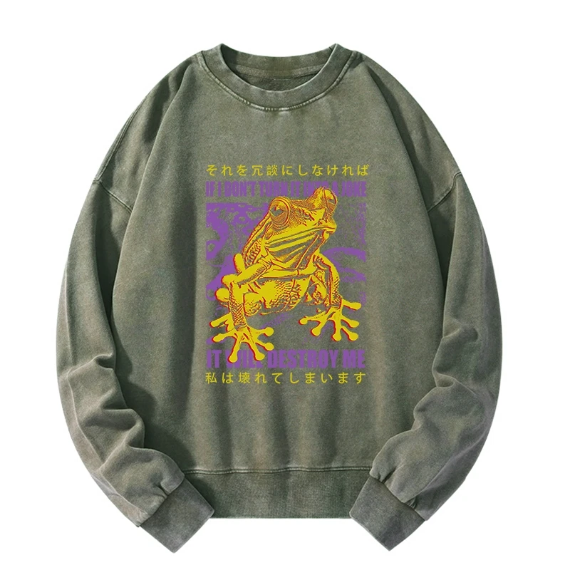 Tokyo-Tiger A Frog Prone To Emotional Breakdown Washed Sweatshirt