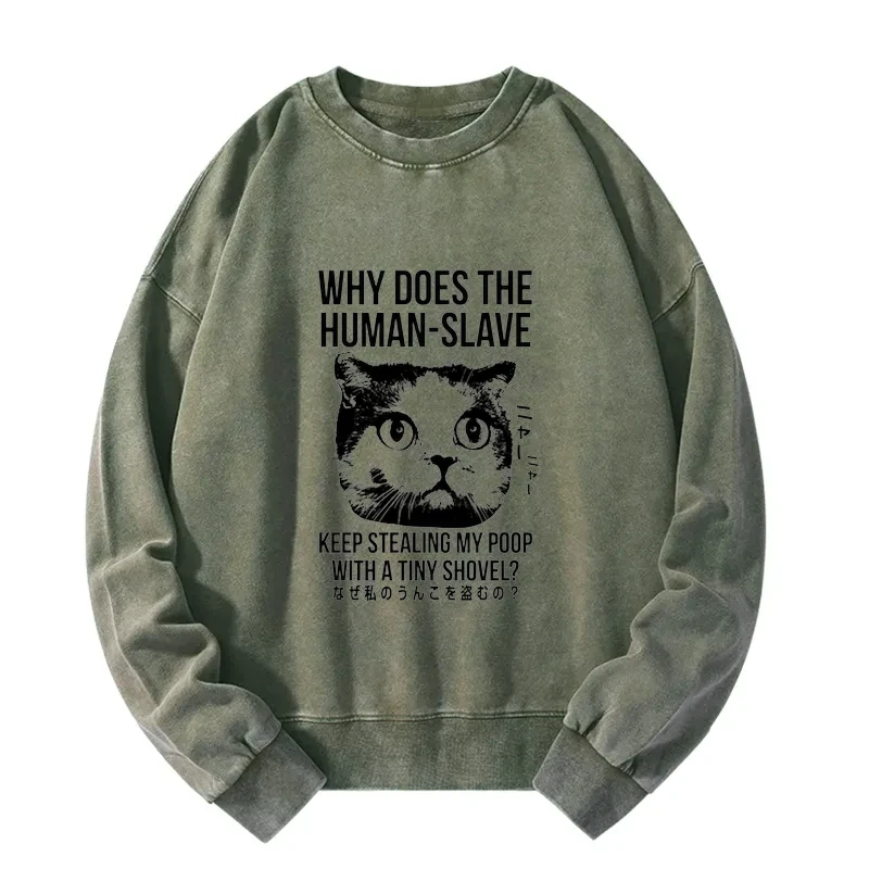 Tokyo-Tiger Cat Thinking About human Washed Sweatshirt
