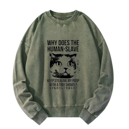 Tokyo-Tiger Cat Thinking About human Washed Sweatshirt