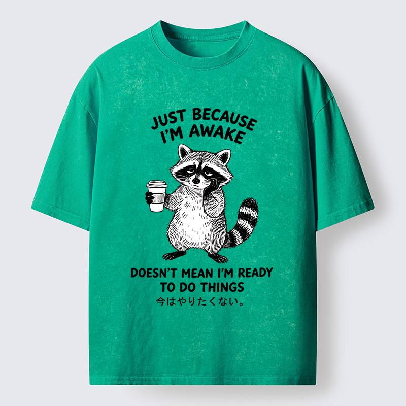 Tokyo-Tiger Tired Raccoon Coffee Washed T-Shirt