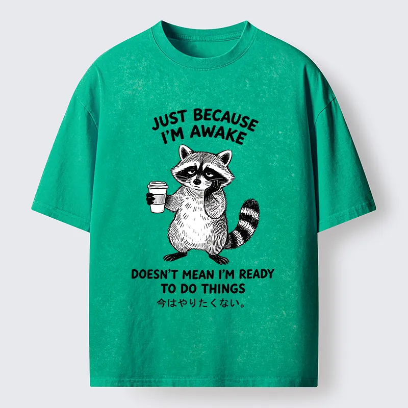 Tokyo-Tiger Tired Raccoon Coffee Washed T-Shirt