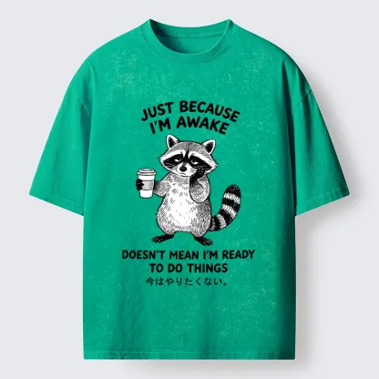 Tokyo-Tiger Tired Raccoon Coffee Washed T-Shirt