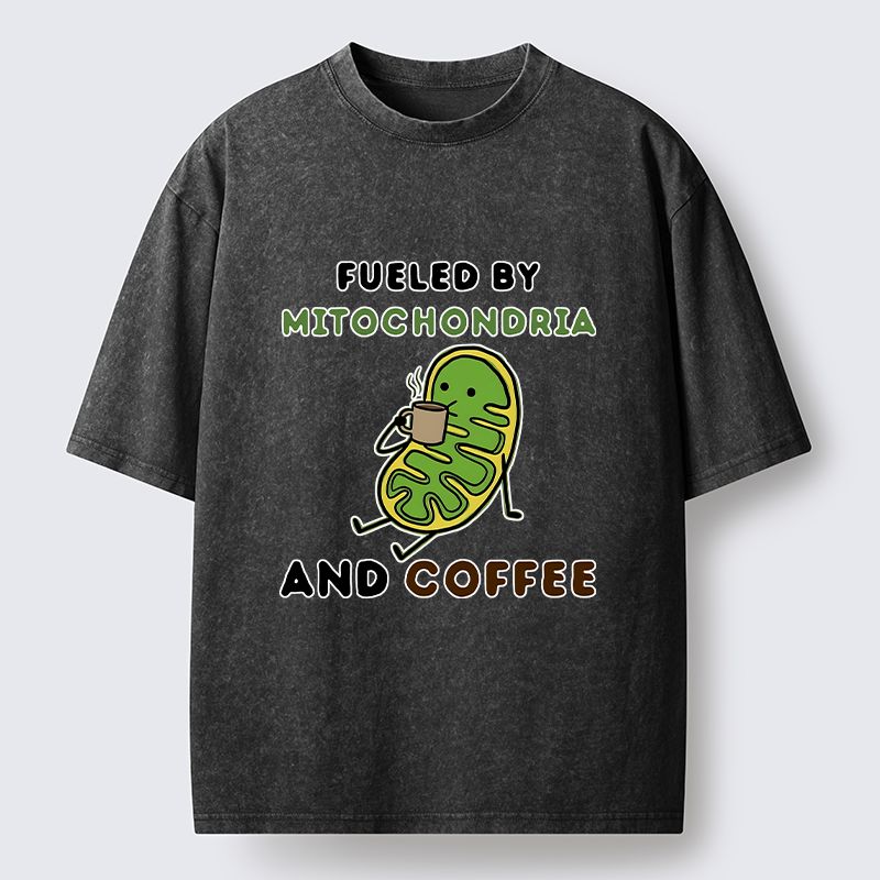 Tokyo-Tiger Two Sources Energy Funny Meme Washed T-Shirt