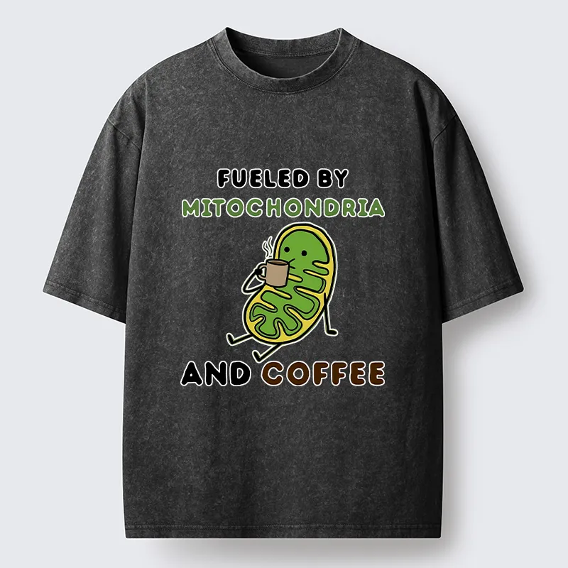 Tokyo-Tiger Two Sources Energy Funny Meme Washed T-Shirt
