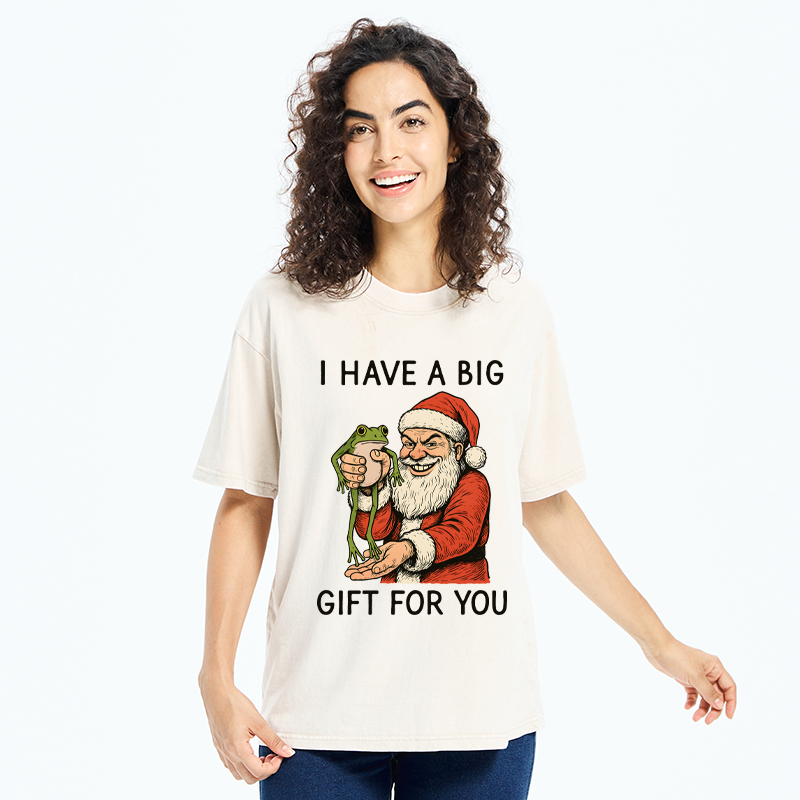 Tokyo-Tiger Santa’s Special Gift Washed T-Shirt