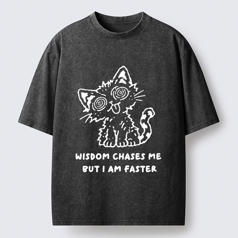 Tokyo-Tiger Escape Wisdom Cat Funny Meme Washed T-Shirt