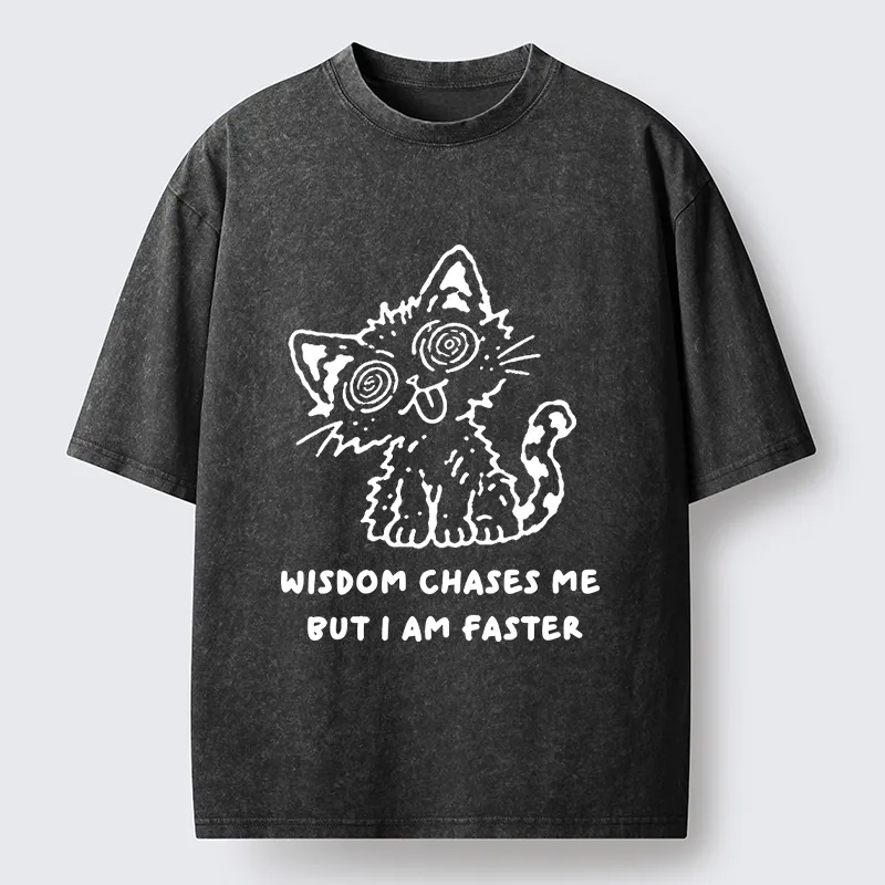 Tokyo-Tiger Escape Wisdom Cat Funny Meme Washed T-Shirt