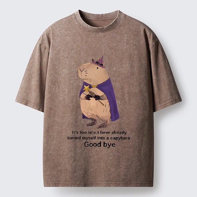 Tokyo‑Tiger Funny Wizard Capybara Washed T‑Shirt