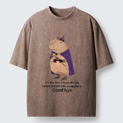 Tokyo‑Tiger Funny Wizard Capybara Washed T‑Shirt