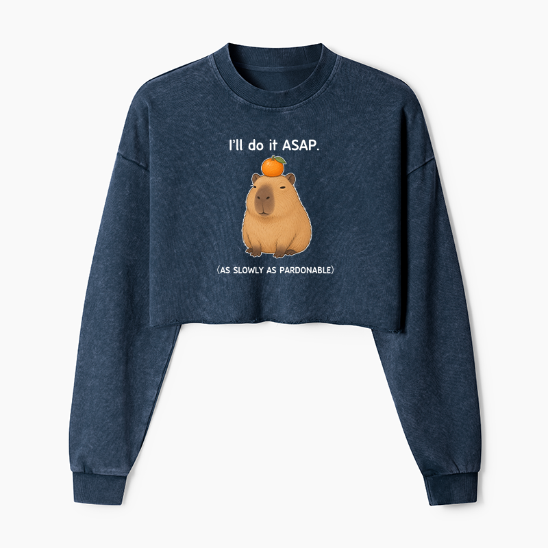 Tokyo-Tiger Slow Task Capybara Meme Washed Crop Sweatshirt