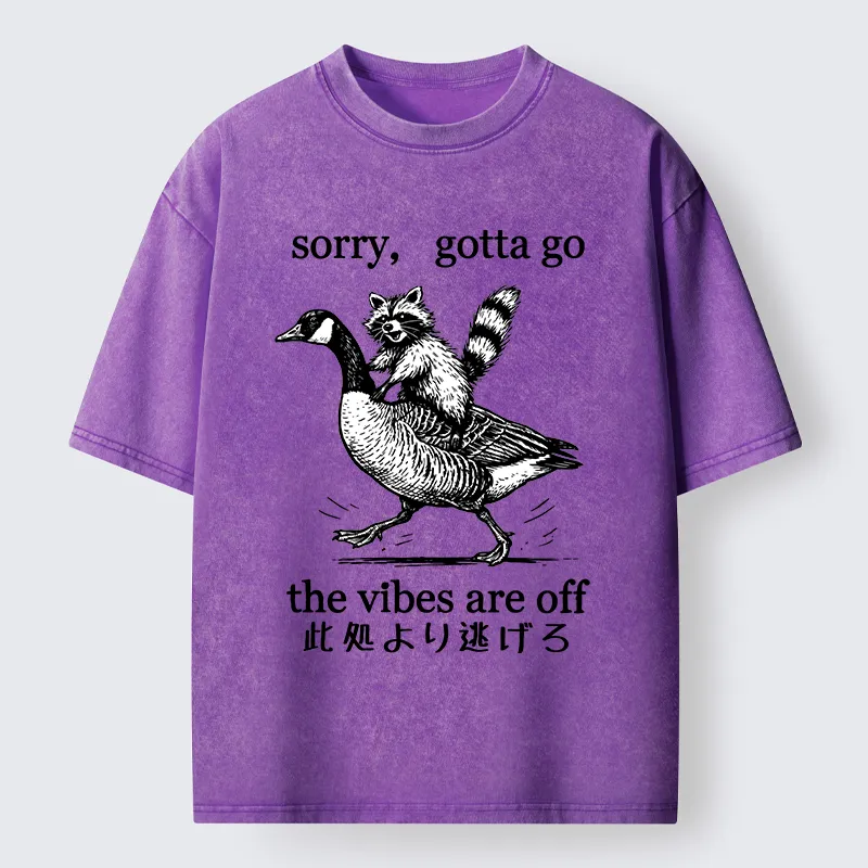 Tokyo‑Tiger Raccoon Goose Escape Washed T-Shirt
