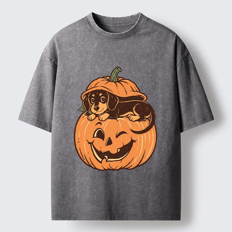 Tokyo‑Tiger Retro Pumpkin Dog Washed T‑Shirt