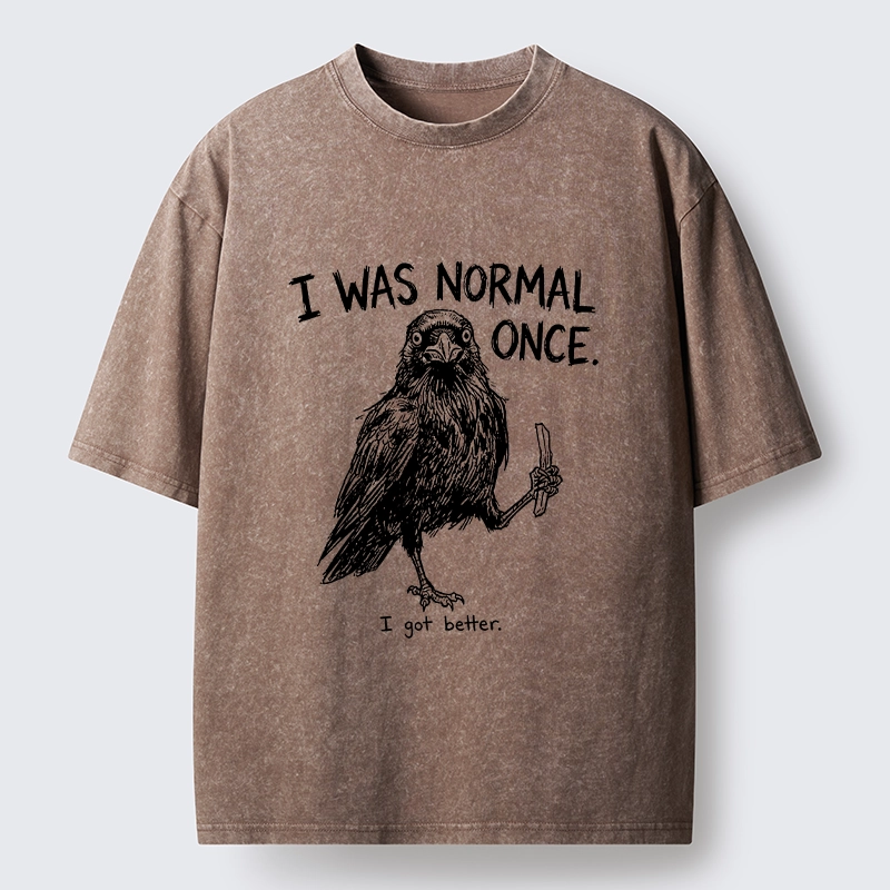 Tokyo‑Tiger Funny Crow Meme Washed T‑Shirt