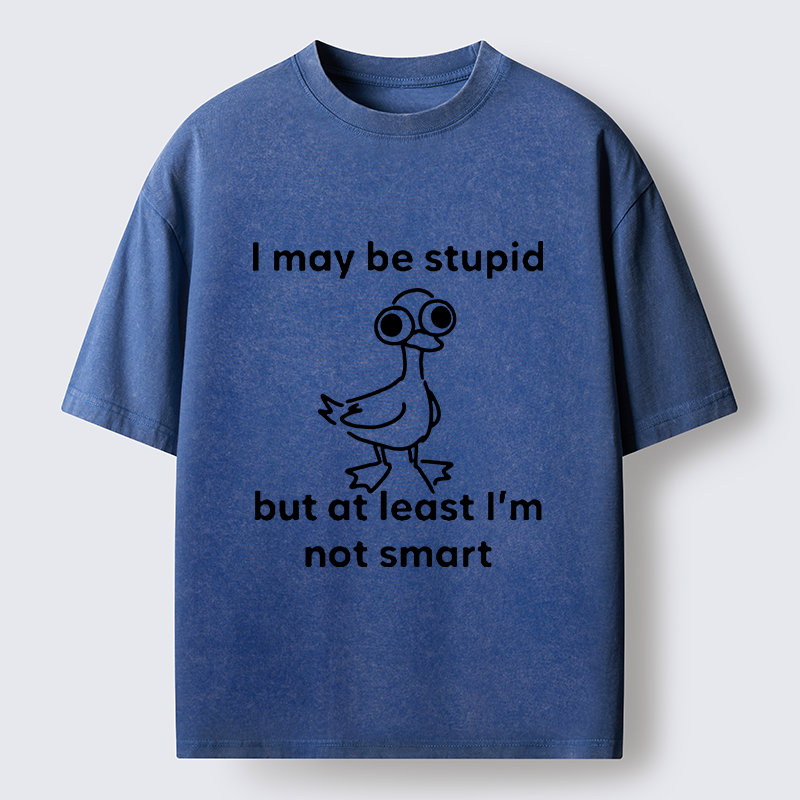 Tokyo‑Tiger Silly Duck Meme Washed T‑Shirt