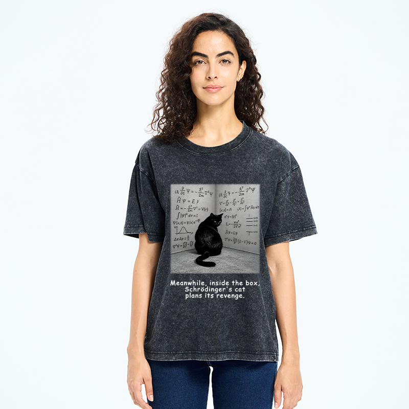 Tokyo-Tiger Box Black Cat Science Meme Washed T-Shirt