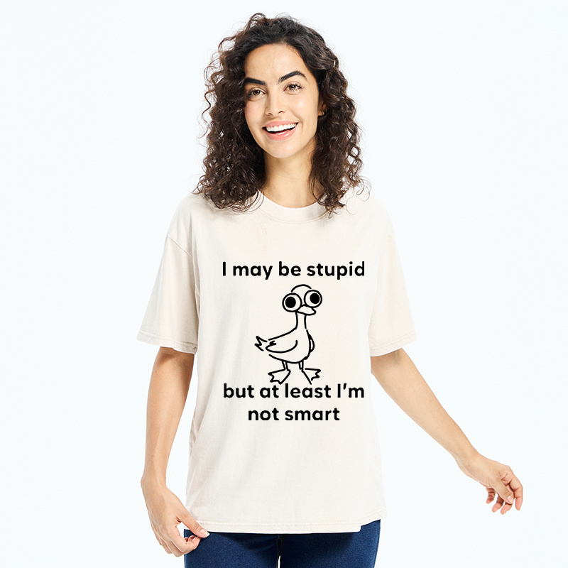 Tokyo‑Tiger Silly Duck Meme Washed T‑Shirt