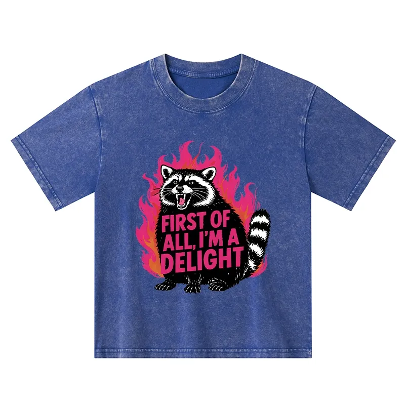 Tokyo-Tiger Angry Raccoon Funny Kids Washed T-Shirt