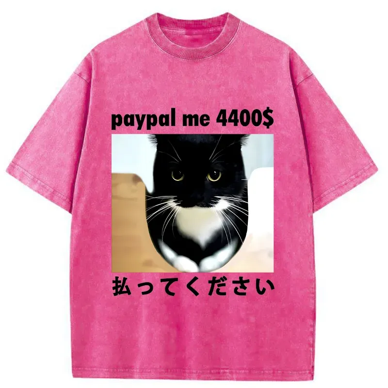 Tokyo-Tiger Please Give The Cat Money Washed T-Shirt