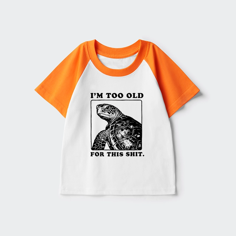 Tokyo-Tiger Turtle I Quit Meme Energy Kids Raglan T-shirt