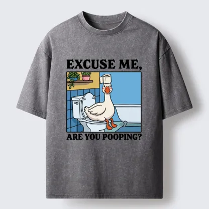 Tokyo-Tiger Are You Pooping Funny Washed T-Shirt