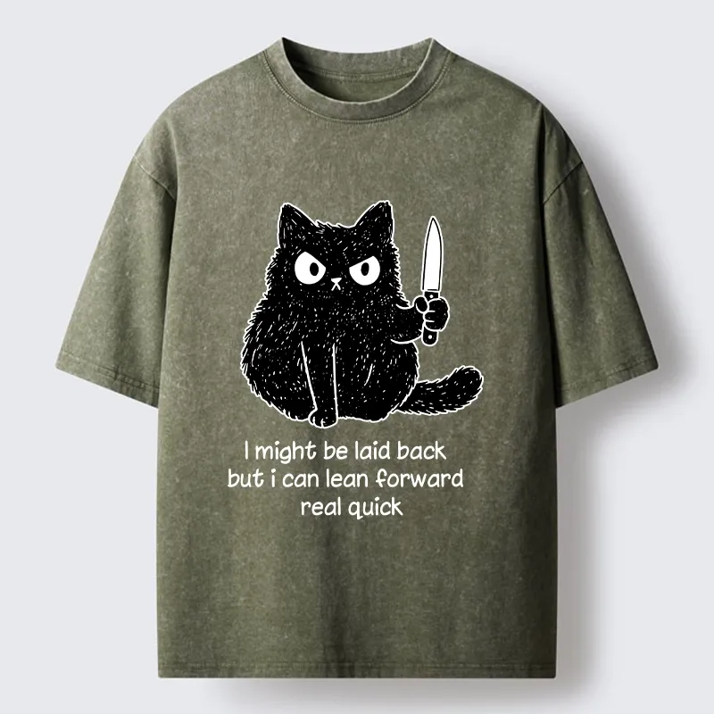 Tokyo-Tiger Dont Mess With This Cat Washed T-Shirt