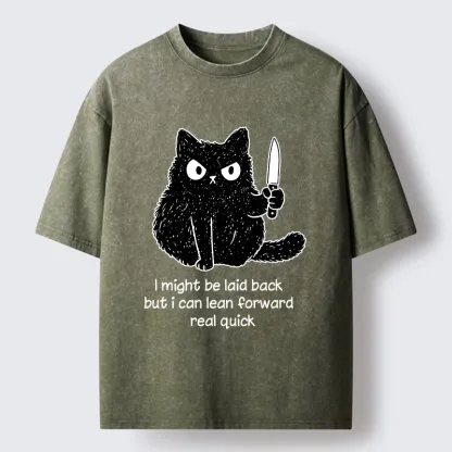 Tokyo-Tiger Dont Mess With This Cat Washed T-Shirt