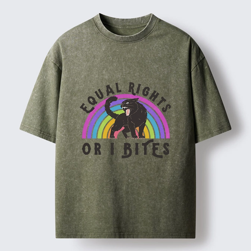 Tokyo-Tiger Rainbow Panther Equal Rights Washed T-Shirt