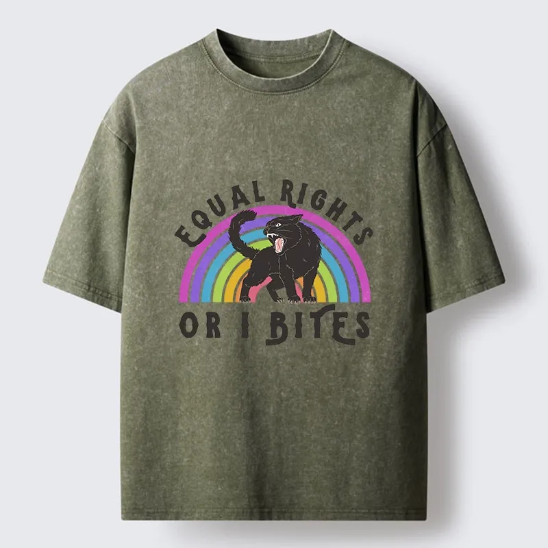 Tokyo-Tiger Rainbow Panther Equal Rights Washed T-Shirt