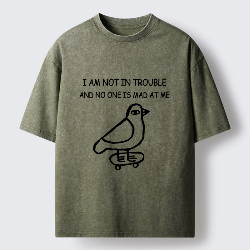 Tokyo-Tiger Bird Pretends It Did Nothing Wrong Washed T-Shirt
