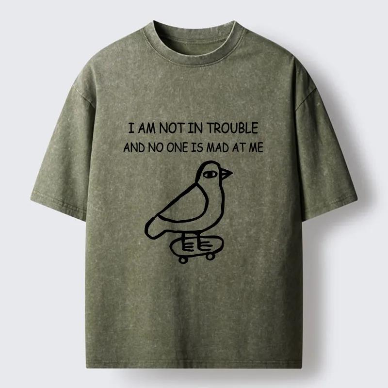 Tokyo-Tiger Bird Pretends It Did Nothing Wrong Washed T-Shirt