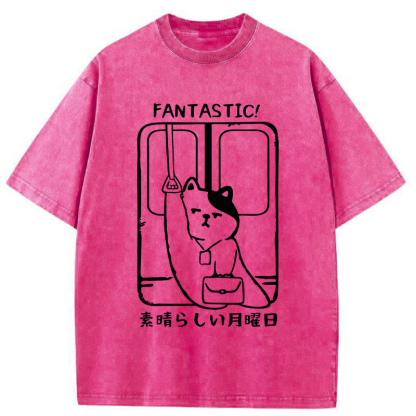 Tokyo-Tiger Great Monday Washed T-Shirt