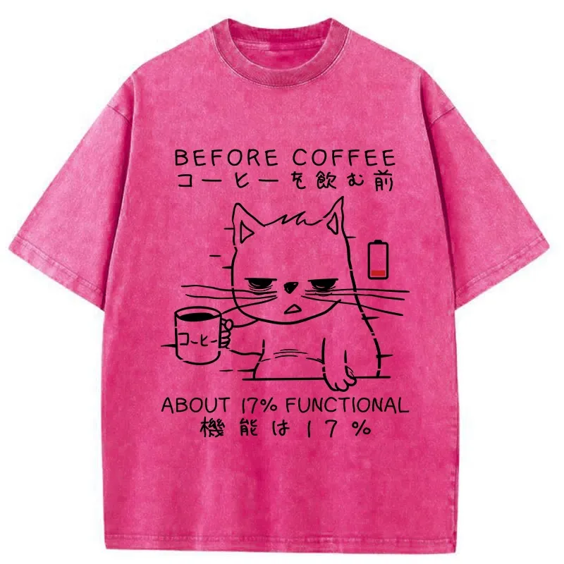 Tokyo-Tiger Before Coffee About 17% Functional Washed T-Shirt