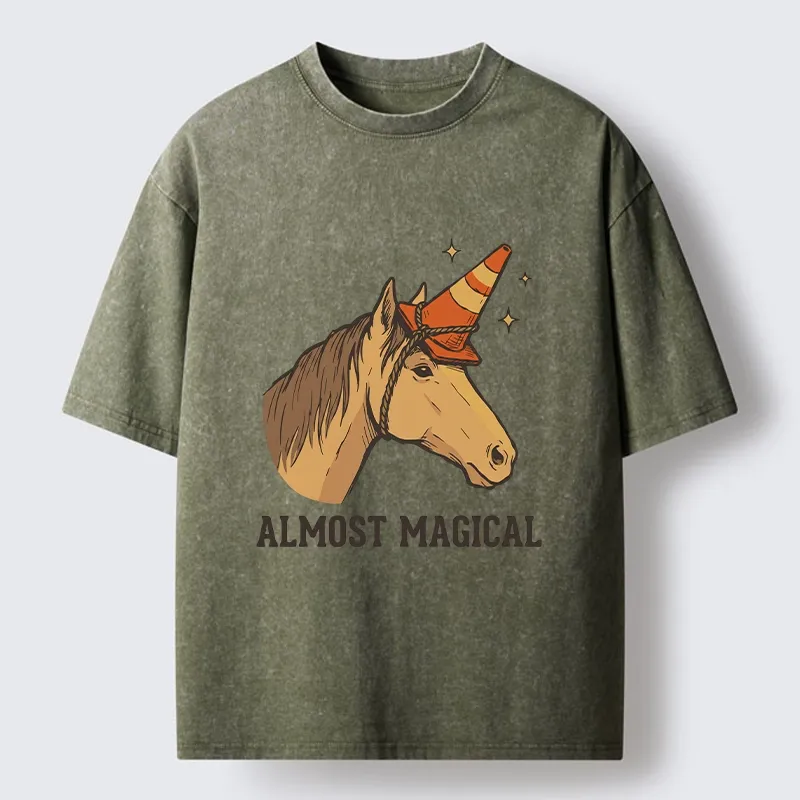 Tokyo-Tiger Silly Horse Trying To Be Magical Washed T-Shirt
