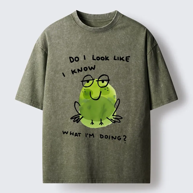 Tokyo-Tiger Little Green Frog Has No Idea What’s Next Washed T-Shirt