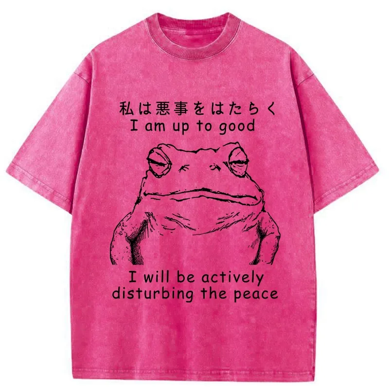 Tokyo-Tiger Frog Disturbs The Peace Washed T-Shirt