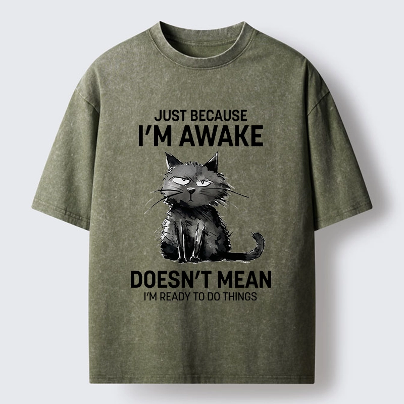 Tokyo-Tiger Grumpy Cat Not Ready To Do Things Washed T-Shirt