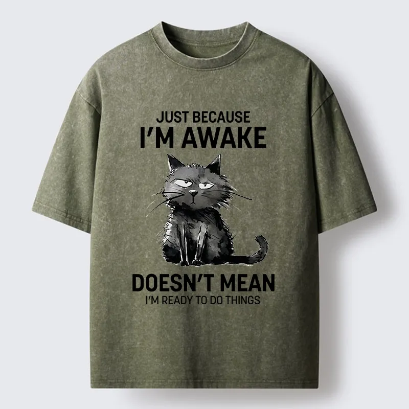Tokyo-Tiger Grumpy Cat Not Ready To Do Things Washed T-Shirt