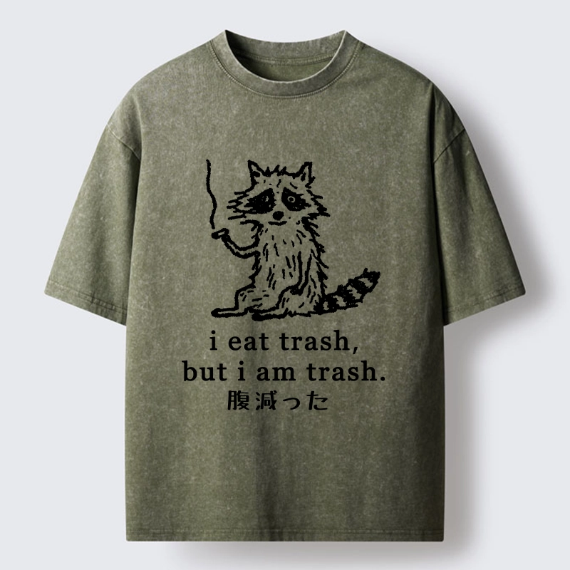 Tokyo-Tiger Raccoon’s Trashy Lifestyle Washed T-Shirt