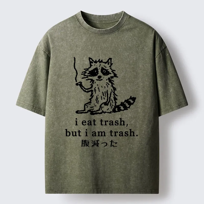 Tokyo-Tiger Raccoon’s Trashy Lifestyle Washed T-Shirt