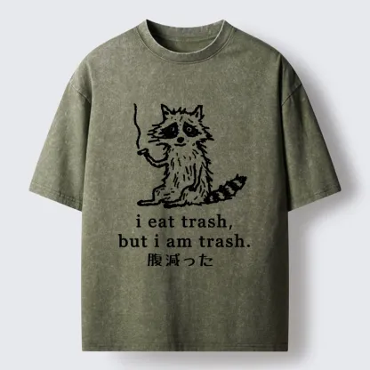 Tokyo-Tiger Raccoon’s Trashy Lifestyle Washed T-Shirt